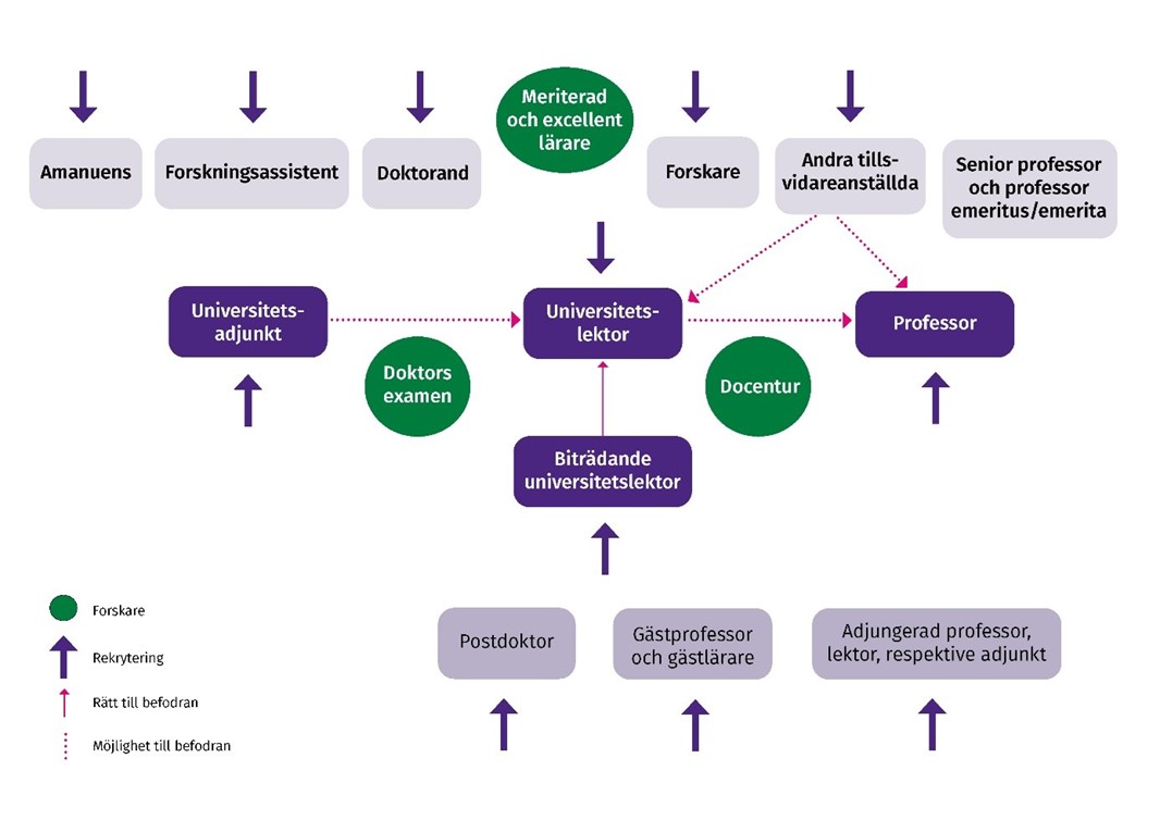 Illustrationen visar processen för akademisk karriärväg